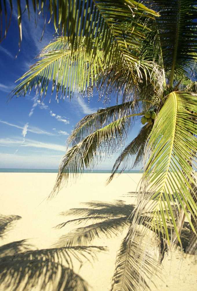 位于斯里兰卡西海岸的希卡杜瓦海滩斯里兰卡希卡杜瓦海滩图片