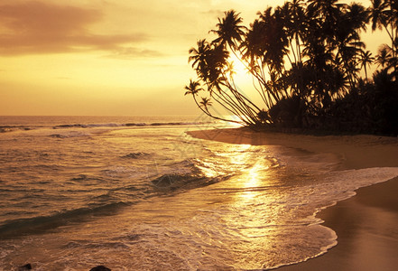 朝萨姆兰海滩亚洲日落高清图片