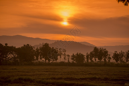 泰国北部清莱省晨雾的风景图片