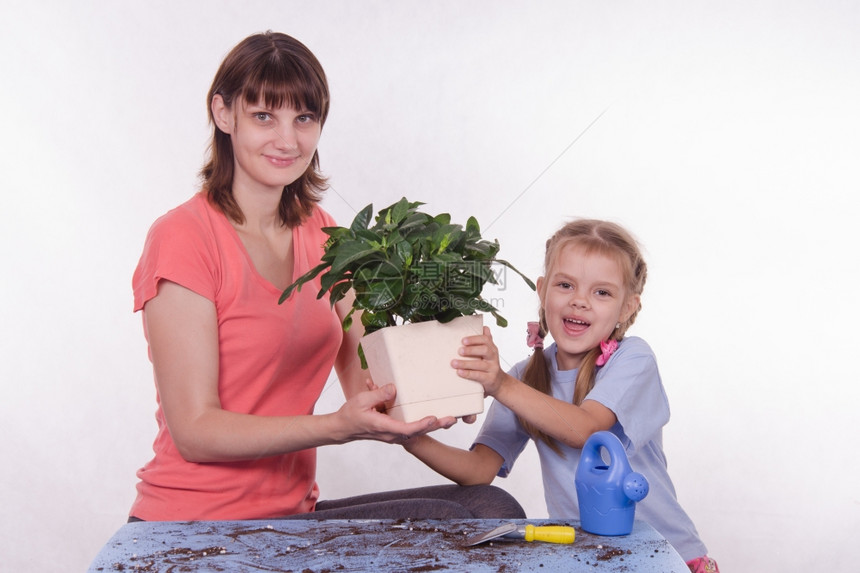 母亲带着女儿玩植物盆图片