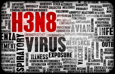 H3N8医疗研究专题概念图片