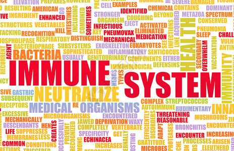 良好和健康的人体机免疫系统图片