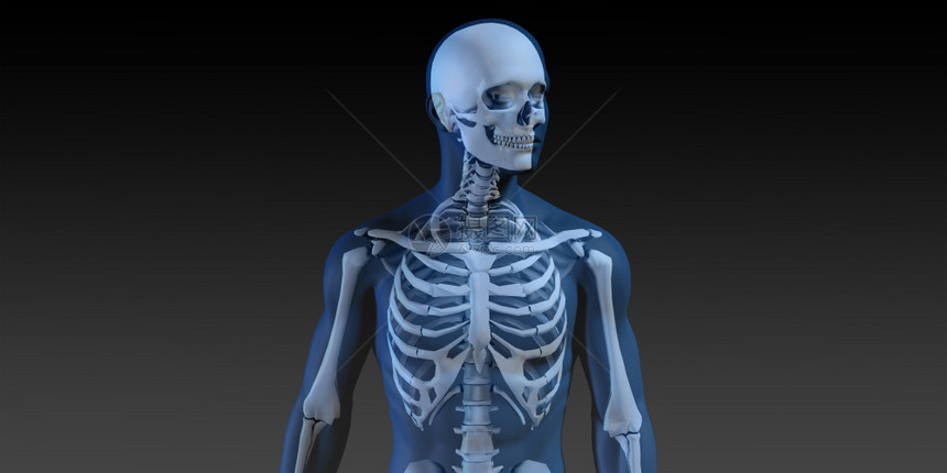 3D人体男身和Skeleton运行概念图片