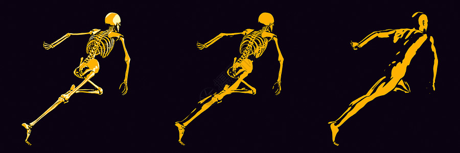 橙和黑的人体骨结构图图片