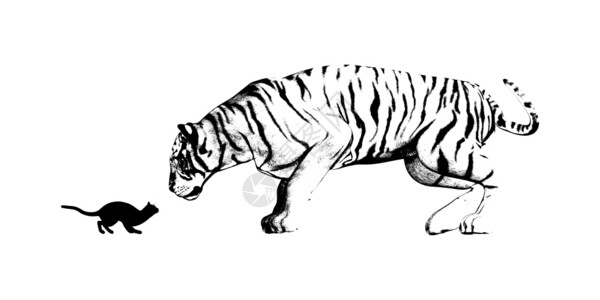 猫和虎的镜像作为逆向概念图片