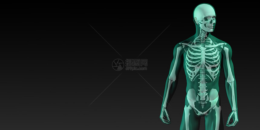 蓝色和黑的人体骨结构图图片