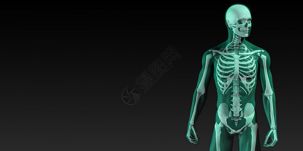 蓝色和黑的人体骨结构图背景图片