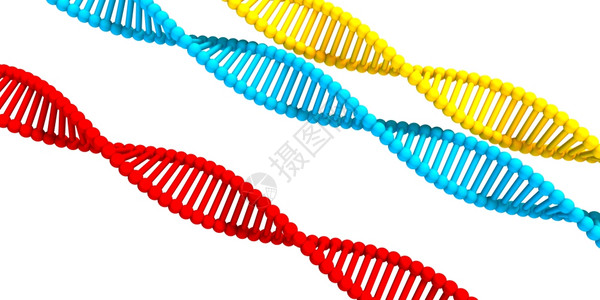 与孤立的Helix研究结构的DNA背景背景图片