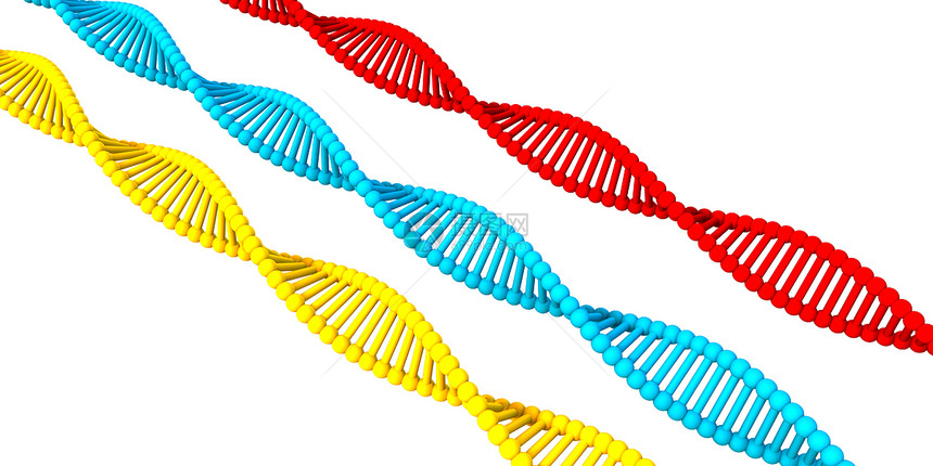DNA结构呈现作为一个概念的抽象背景DNA结构图片