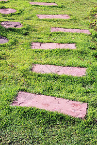 铺砖草坪素材花园中的石块行走线背景
