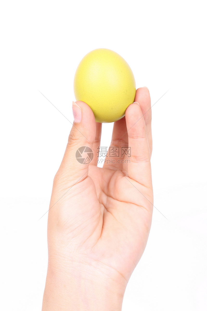 白色背景上手握黄东蛋图片