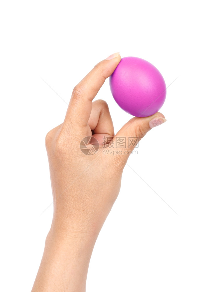 白色背景上手握紫东方蛋图片
