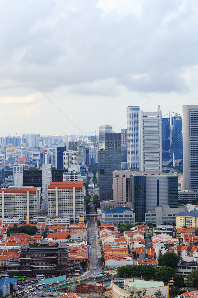 新加坡城市的景色图片