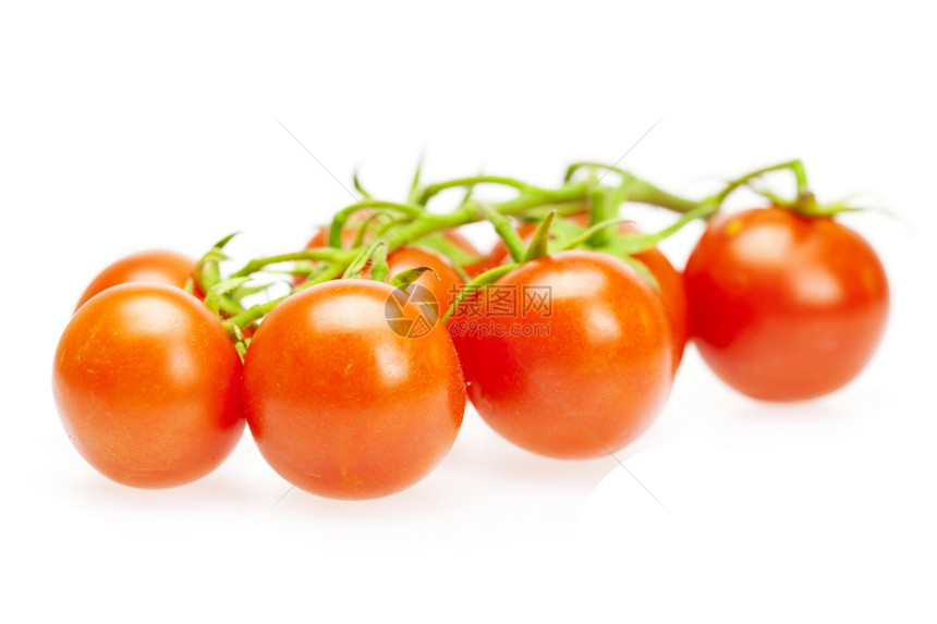 白孤立的多汁西红柿图片