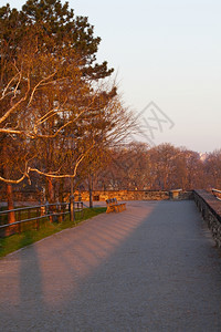 公园里的道路通道图片