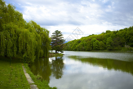 树林中的大湖背景图片