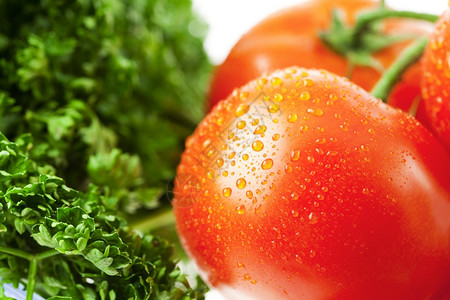 番茄加水和绿菜图片