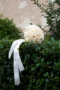 灌木丛上的新娘花束图片