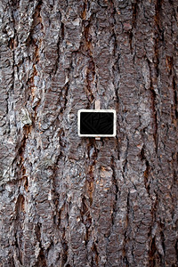 黑色板附在树皮背景上图片