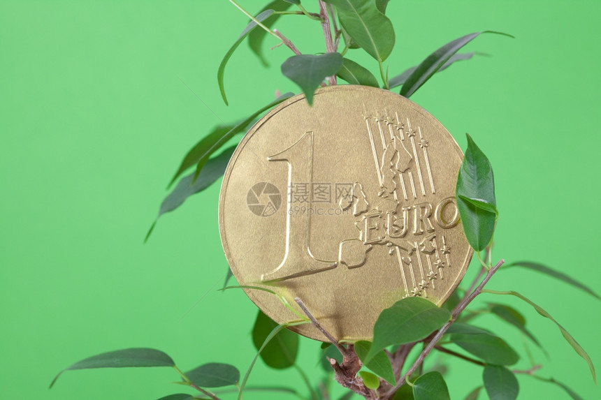 绿色背景上的一欧元硬币和图片