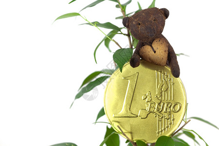 一欧元硬币和泰迪熊孤立在白色上图片