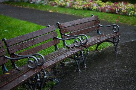 下雨时公园的湿长椅高清图片