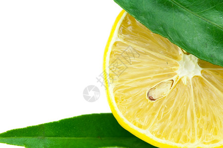白孤立的柠檬绿叶背景图片