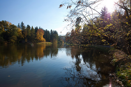 美丽的秋天风景树木多彩池塘图片