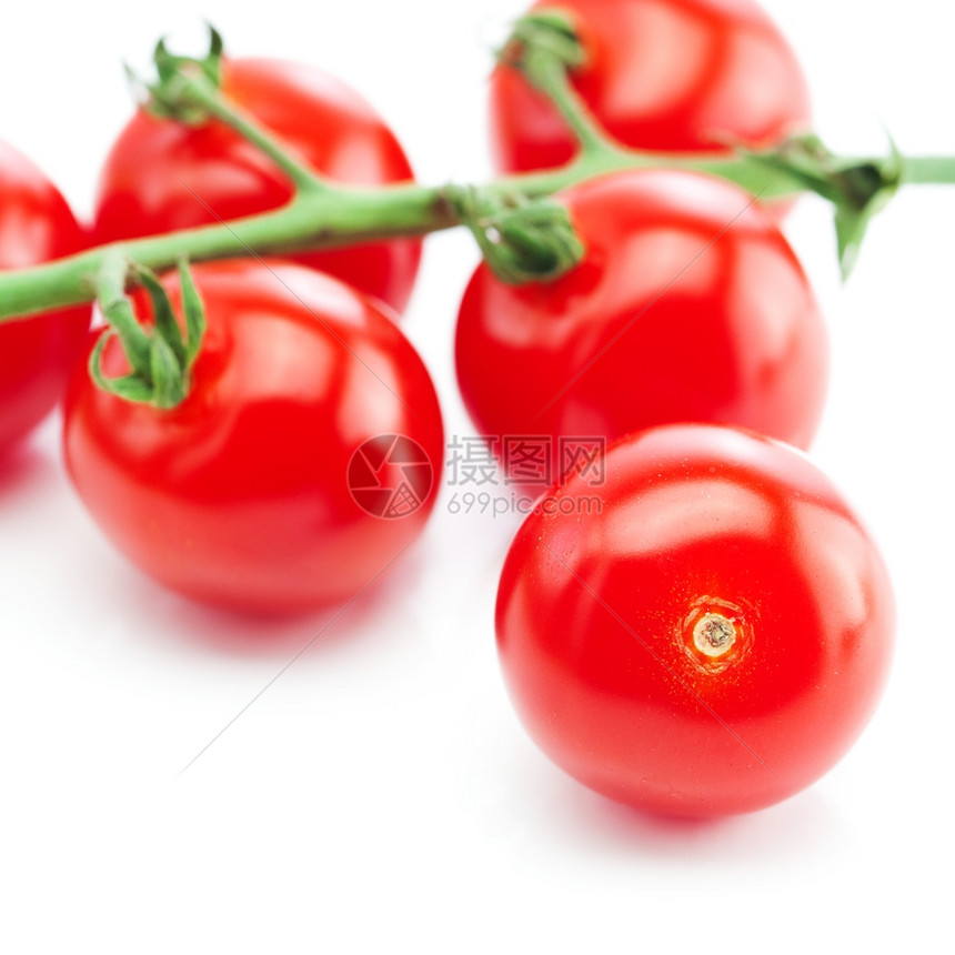 白色上孤立的一帮西红柿图片