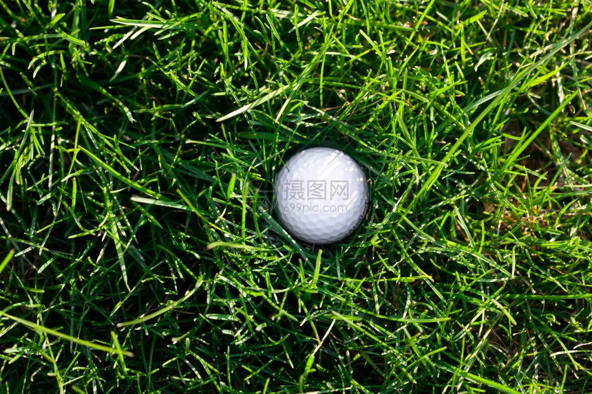 春季绿草和高尔夫球的背景图片