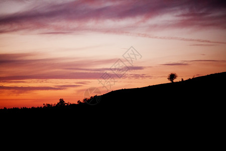 日落时山上孤独的树图片