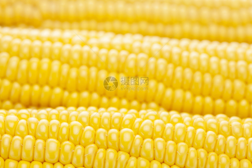 熟黄玉米背景图片