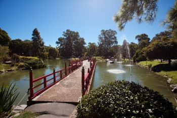 日本花园池塘背景上的桥图片