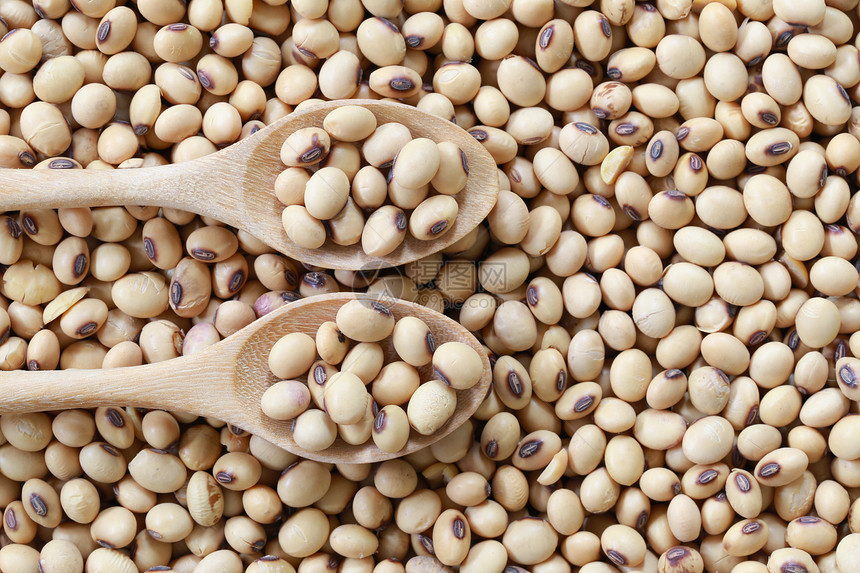 木勺中新鲜的大豆用于设计自然食物的背景图片