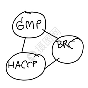 你学会了吗手画了一个GMPBRCHACCP的商业系统它与白隔绝手画了一个GMPHACCP的商业系统它与白背景隔绝用来介绍你的工作设计图片