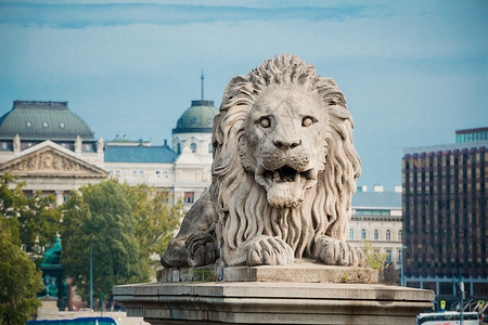 匈牙利布达佩斯链桥的狮子雕像图片