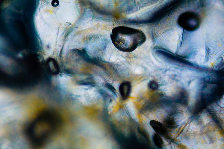 显微镜下的液体抽象纹理和颜色图片