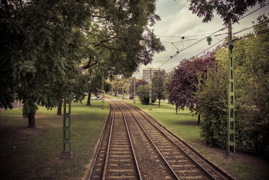 一个秋天的铁路轨迹穿过城市树木之间图片