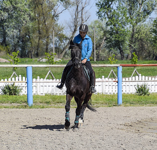 马斯诺2017年4月8日俄罗斯克拉诺达尔青少年骑马运动俱乐部女孩骑马背景