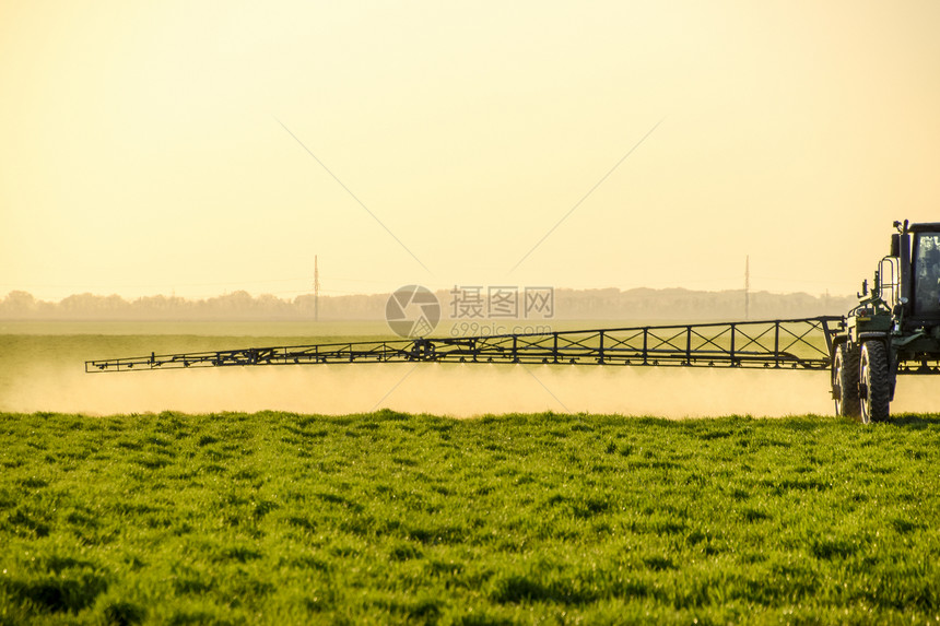 日落背景的拖拉机高轮正在对年轻的小麦施肥图片