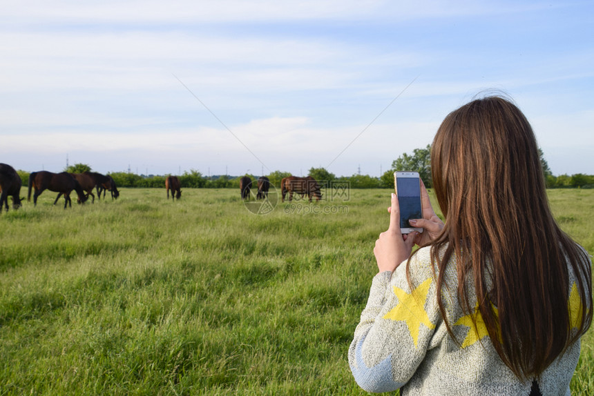女孩拍的马在电话上放牧女孩有智能手机女孩有智能手机图片