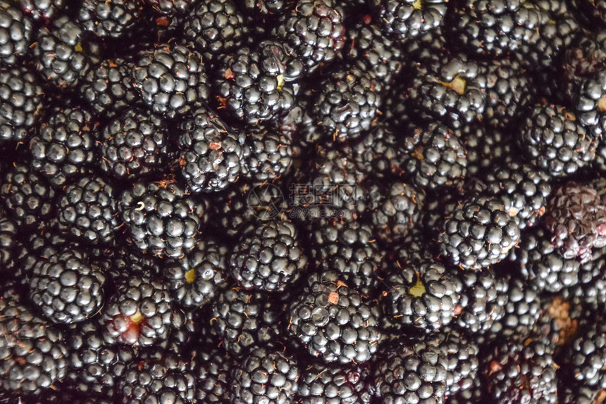 白莓黑桌上有水果浆黑莓图片