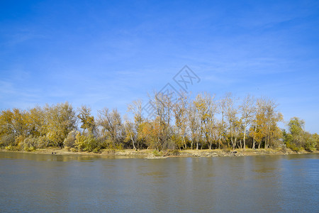 秋天的风景有秋树的河岸岸边的杨树秋天的风景有秋树的河岸树上的杨树图片