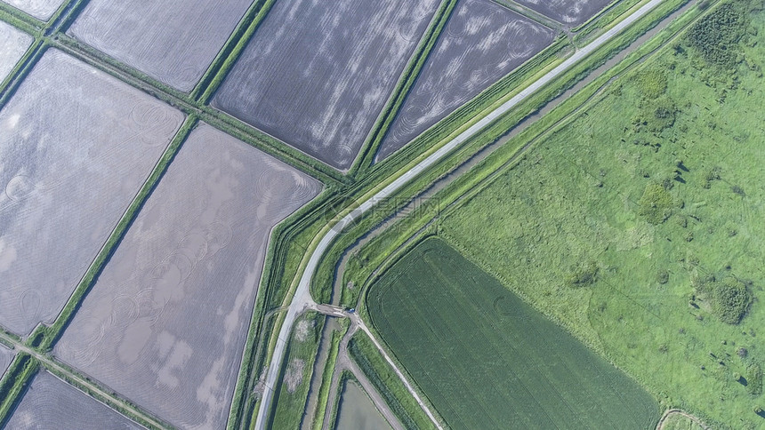 小麦田和的顶部视图从无人机从小麦田和顶部视图Fig下犁田顶部视图从无人机图片