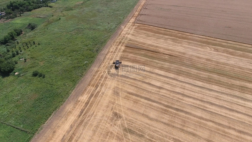 收获大麦的者小和大的田地农业机械的工作收割大麦的田地和拖拉机结合图片
