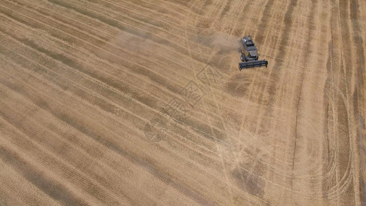 收获大麦的者小和大的田地农业机械的工作收割大麦的田地和拖拉机结合图片