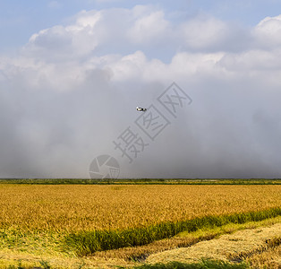 农业飞机在大米田空中施用除草剂图片