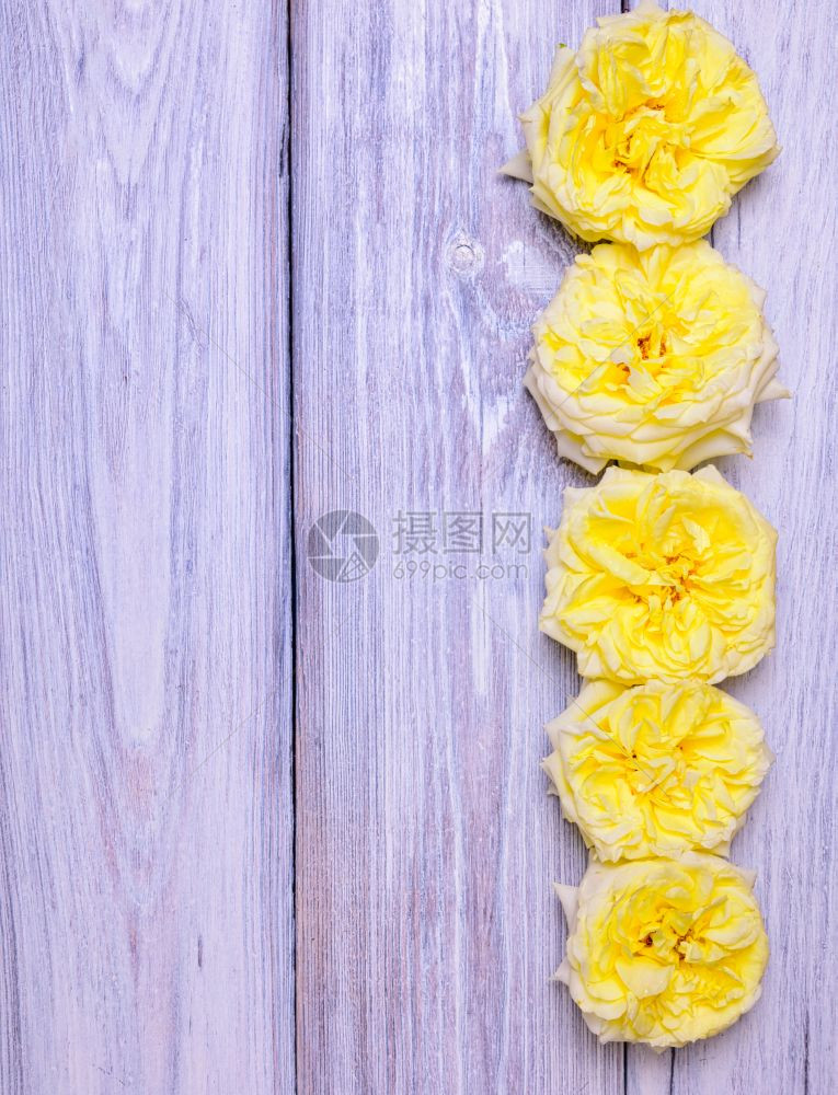 白木背景左边空的黄玫瑰花朵图片