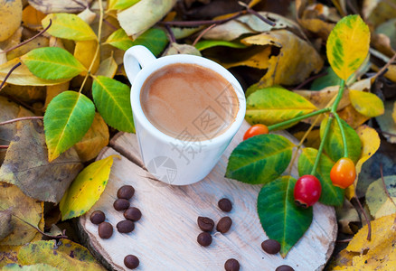 在秋叶顶视图中以浓咖啡加的白杯图片