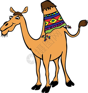 卡通骆驼图片